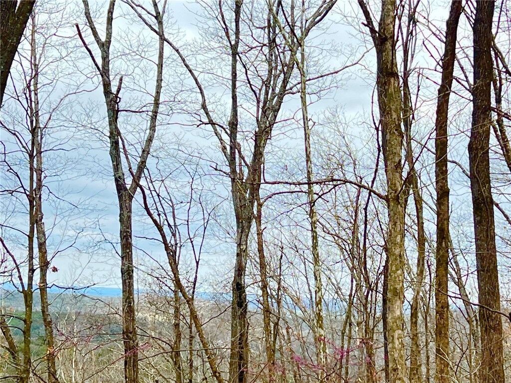 Property Photo:  Tbd Cr 246 265-00160-000  AR 72616 