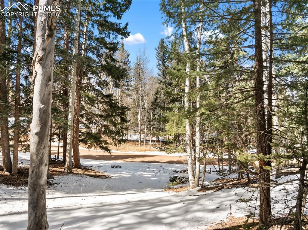 Property Photo:  358 Pawutsy Road  CO 80816 