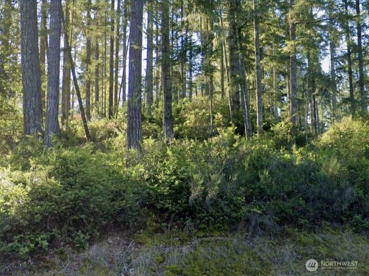 Property Photo:  5011 E Rasor Road  WA 98528 