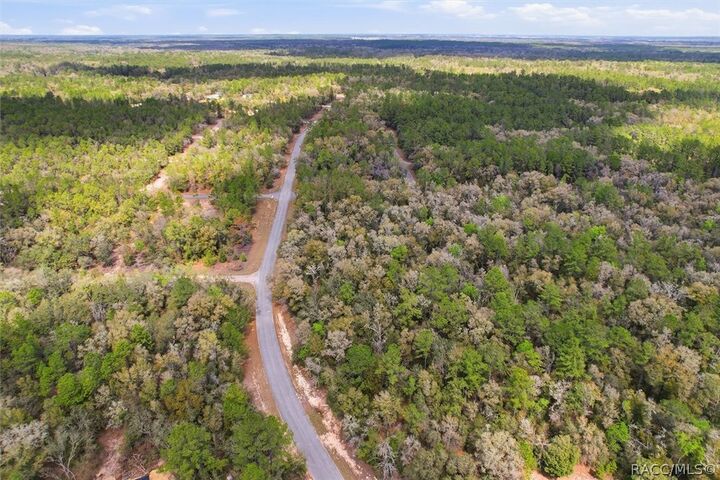 Property Photo:  8987 N Alameda Drive  FL 34434 