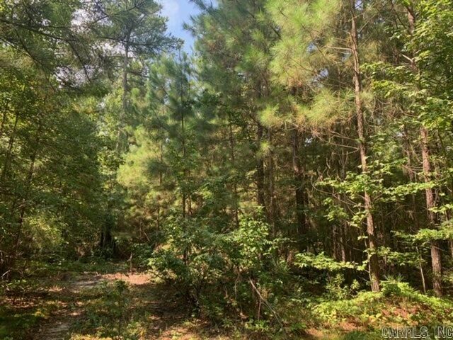 Property Photo:  Lot 17 Oklahoma Inn Road  AR 72015 