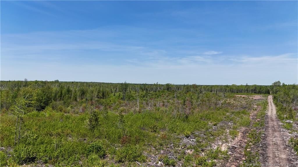 Property Photo: Lot Arthur Symes Lane NB E4T 2M5