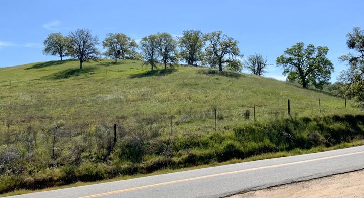 Property Photo:  2 1.64 Ac Rd. 400  CA 93636 