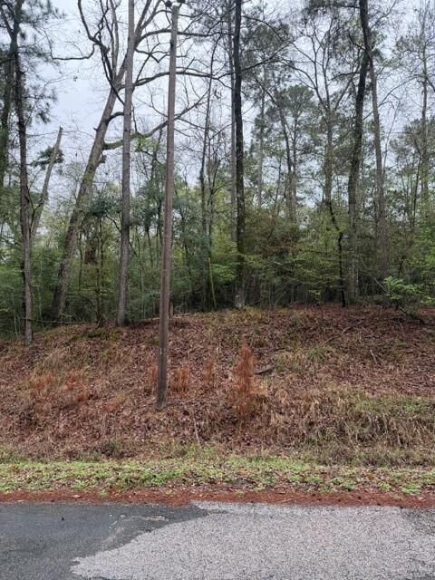Property Photo:  Lot 39, 40 &Amp 41 S Lakeview Drive  TX 77364 