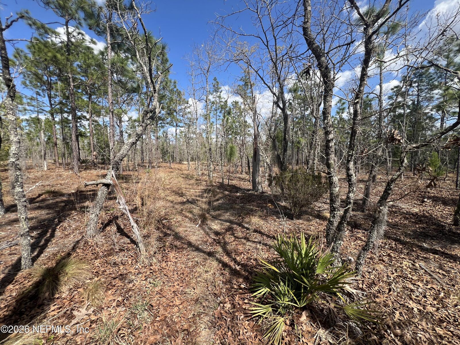 Property Photo:  143 Quail Way  FL 32640 
