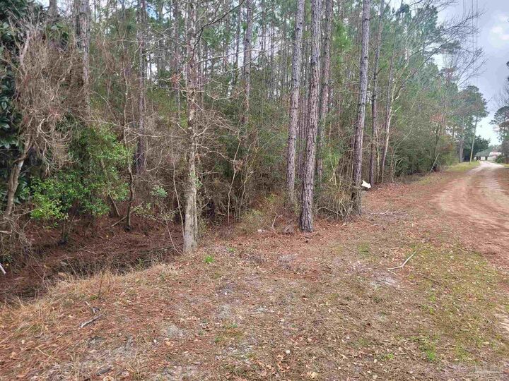 Property Photo:  0 Havburg Dr  FL 32506 