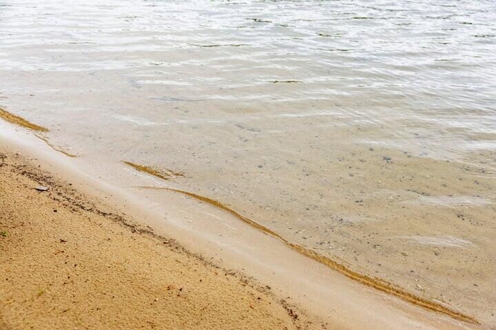 Property Photo:  1604 Shallow Shores Drive  MI 49735 