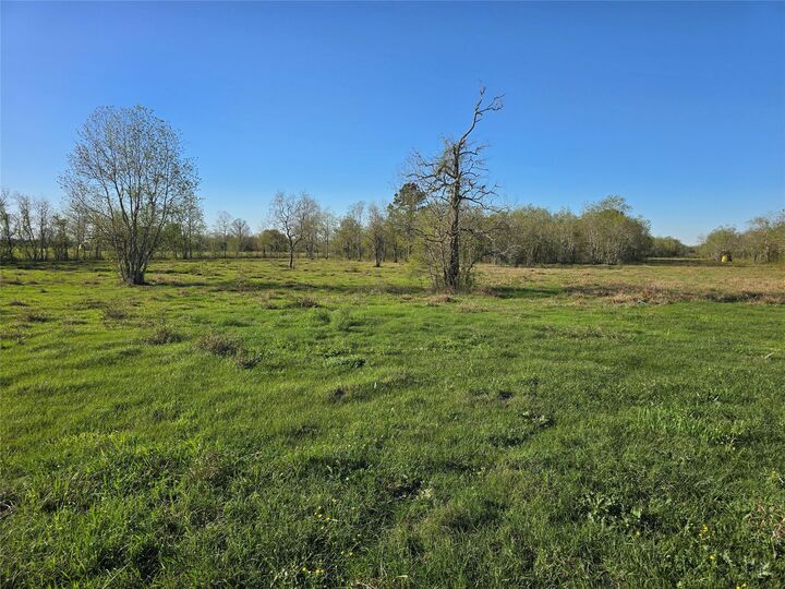 Property Photo:  0 County Road 63  TX 77583 