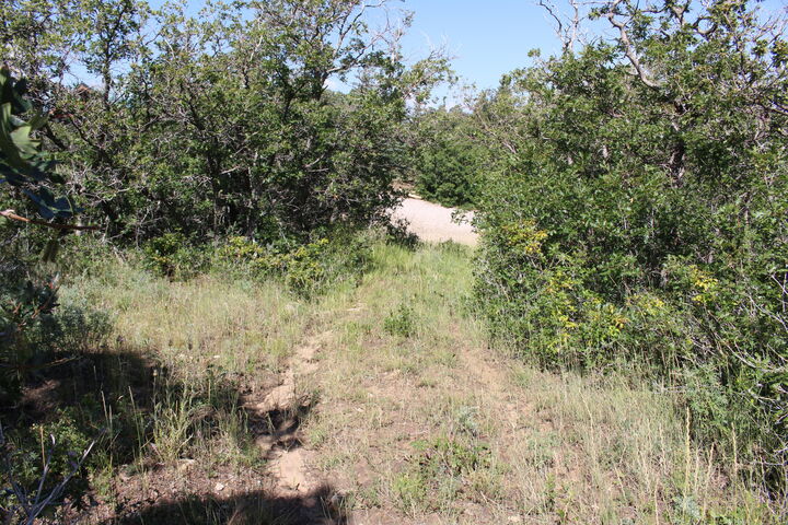 Property Photo:  2289 S High Mountain View Dr  UT 84720 