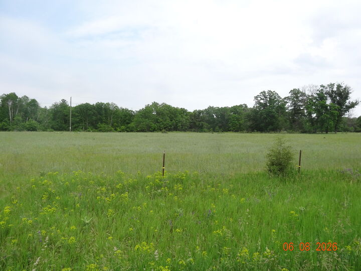 Property Photo:  550 S Oak Avenue  MI 49349 