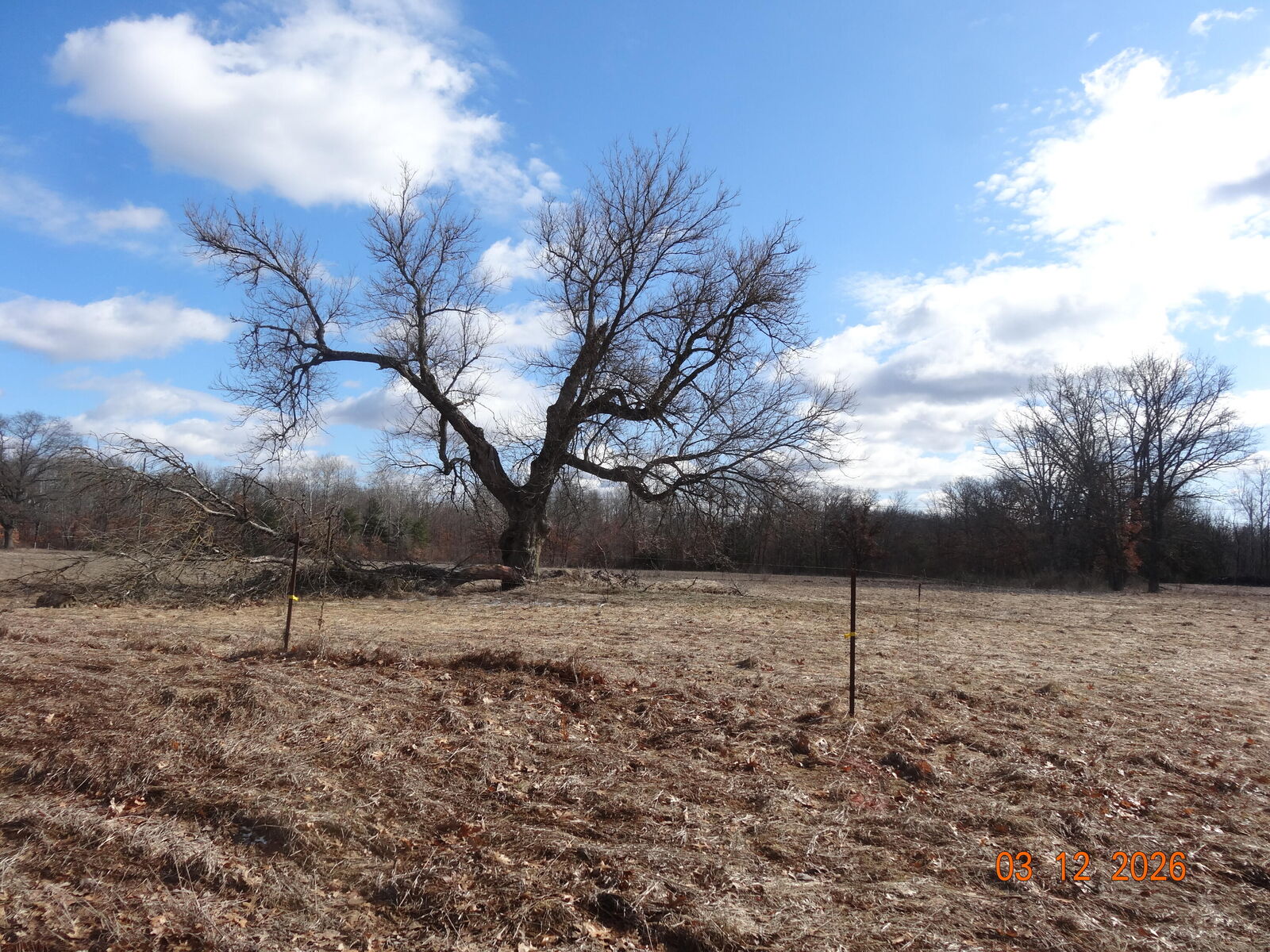 Property Photo:  518 S Oak Avenue  MI 49349 