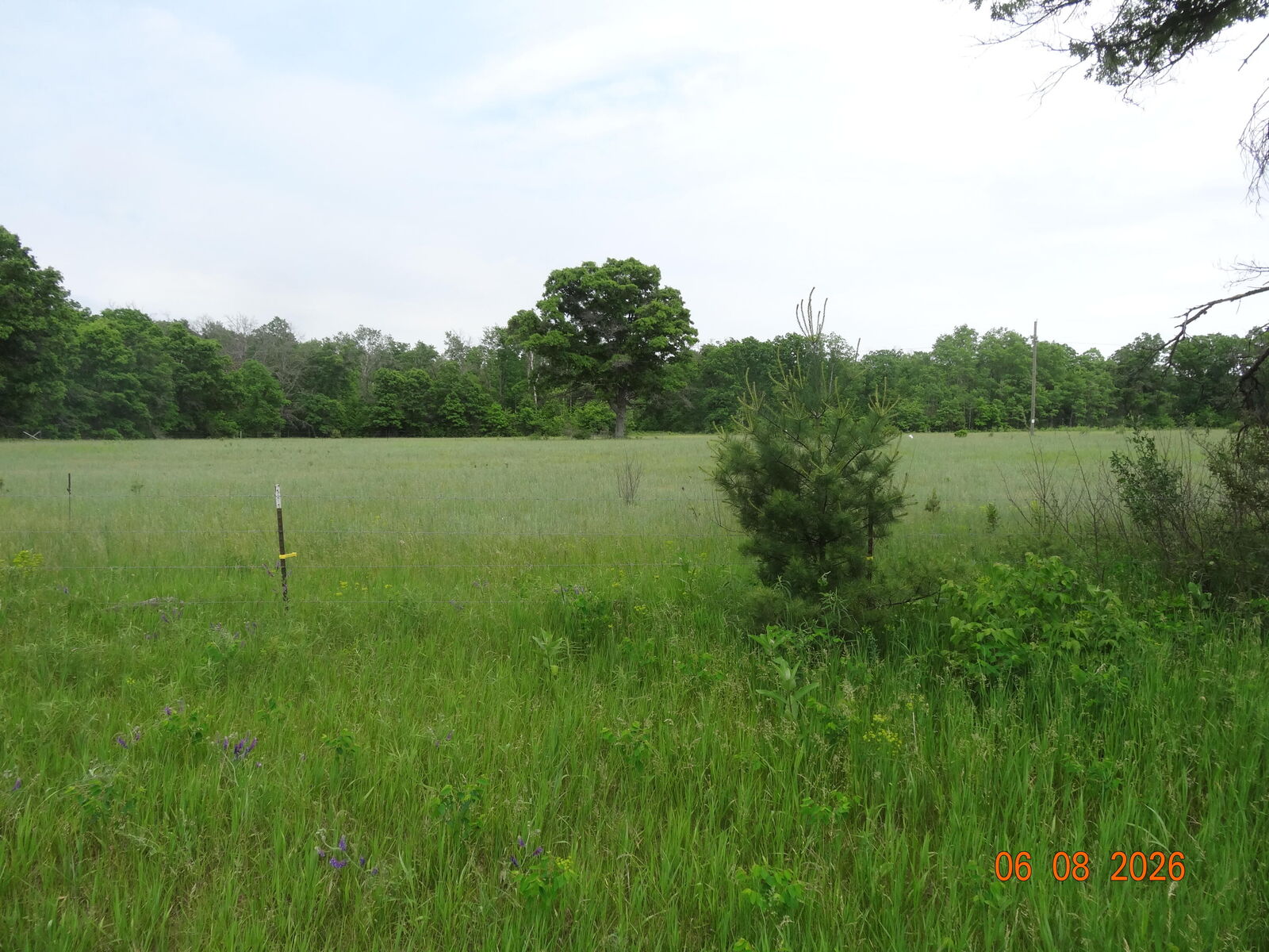 Property Photo:  518 S Oak Avenue  MI 49349 