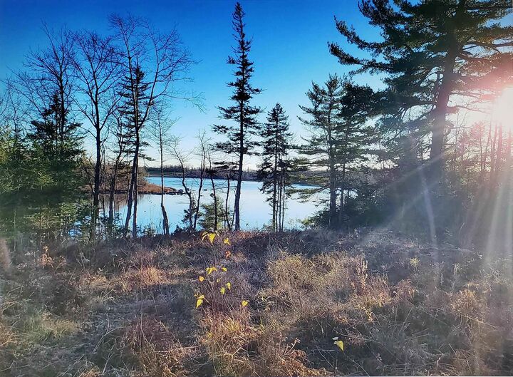 Property Photo:  Thorne Road  NS B0S 1C0 