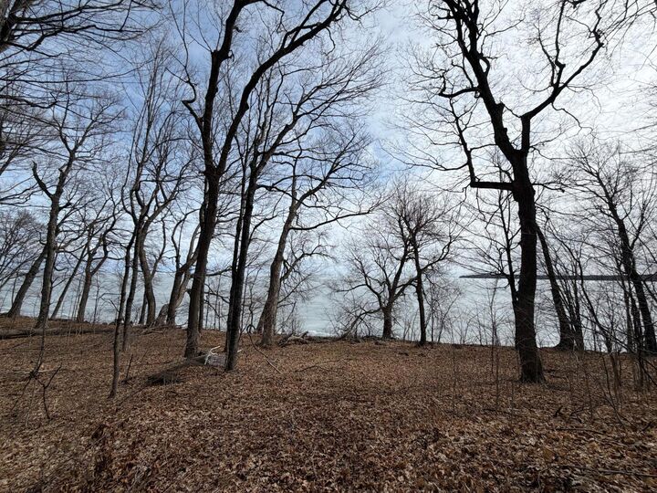 Property Photo:  Lot 39&Amp40 Earle Brown Drive  MN 56450 