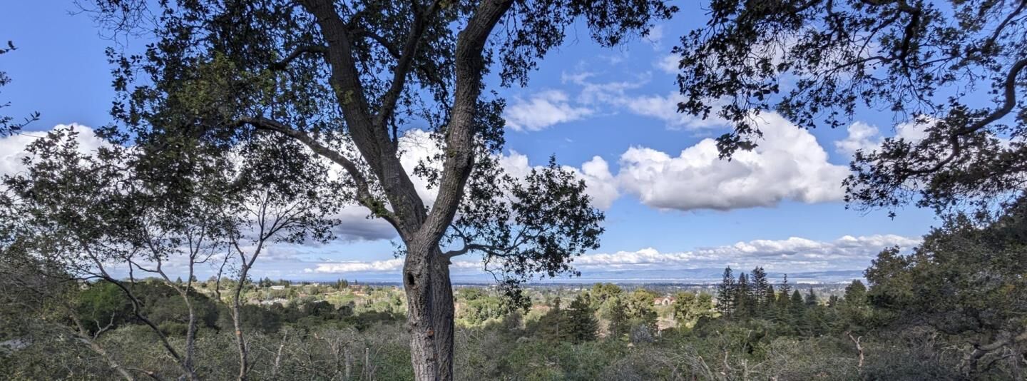 Property Photo:  25564 Fernhill Drive  CA 94024 