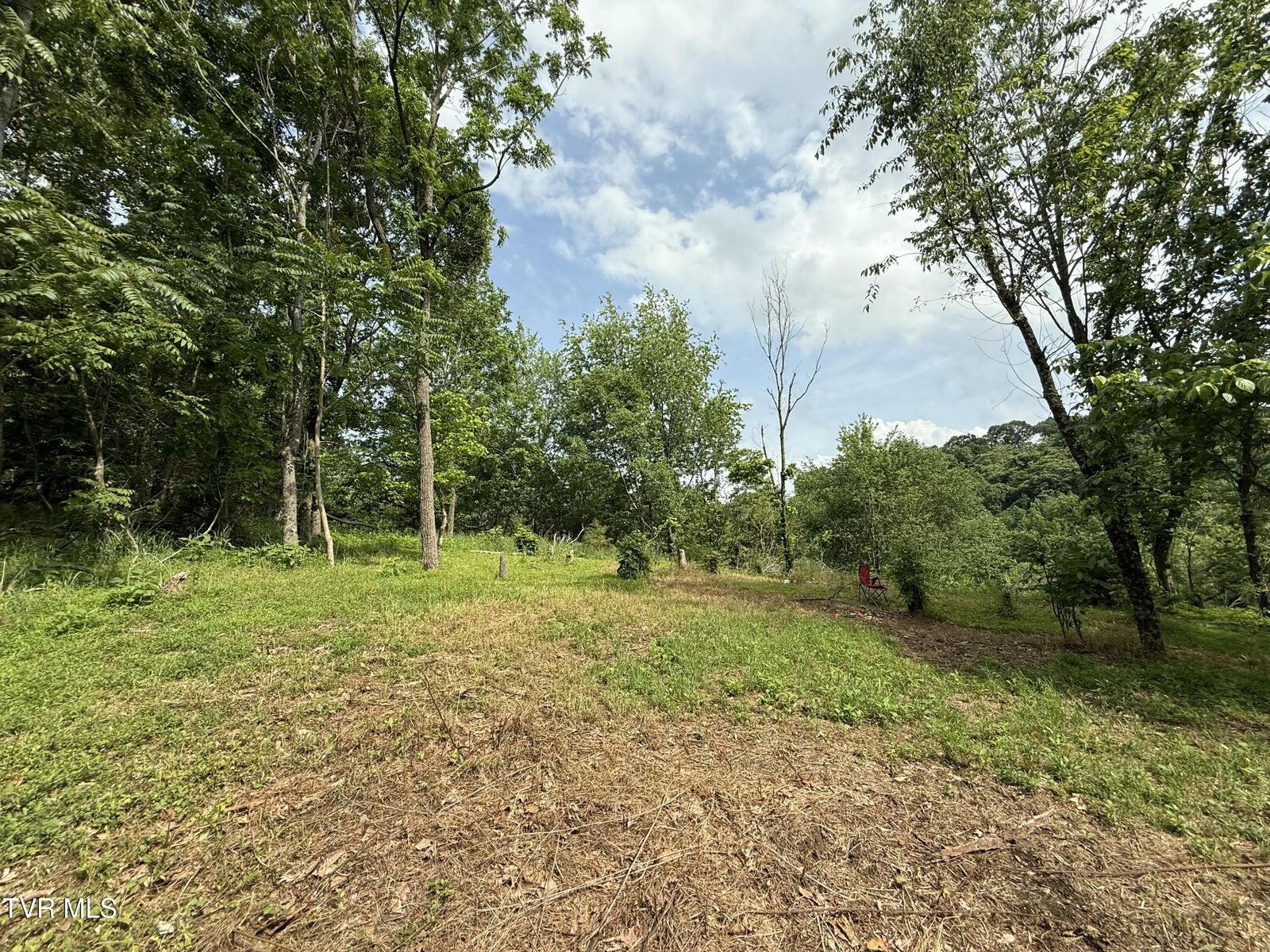 Property Photo: Tr 3 Charles Johnson Road TN 37641