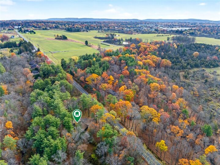 Property Photo:  00 Burdick Hill Road  NY 14850 