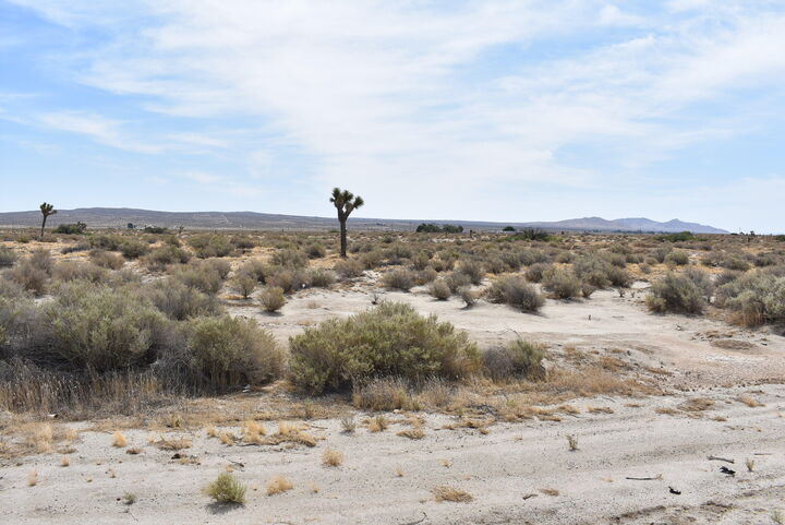 Property Photo: 47660 E 120th St E Street CA 93535