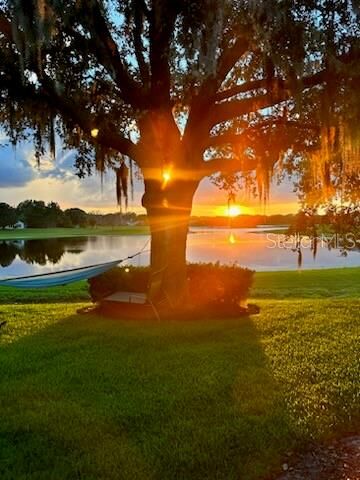 Property Photo:  882 Lakeworth Circle  FL 32746 