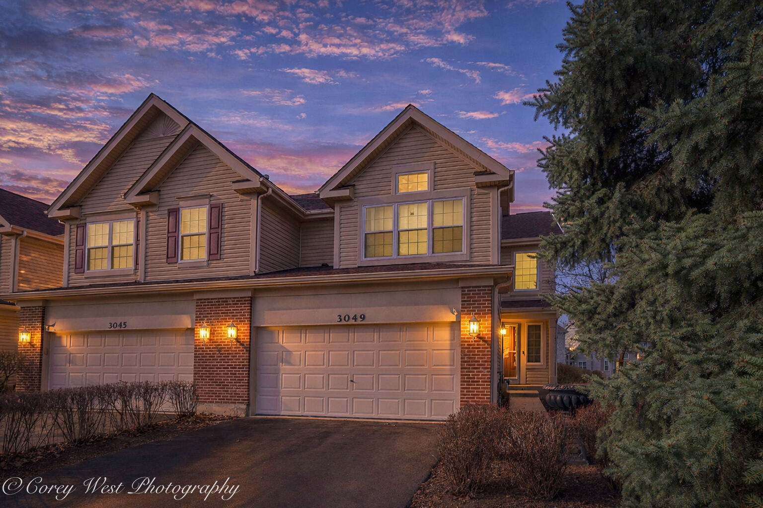 Property Photo:  3049 Renard Lane  IL 60175 