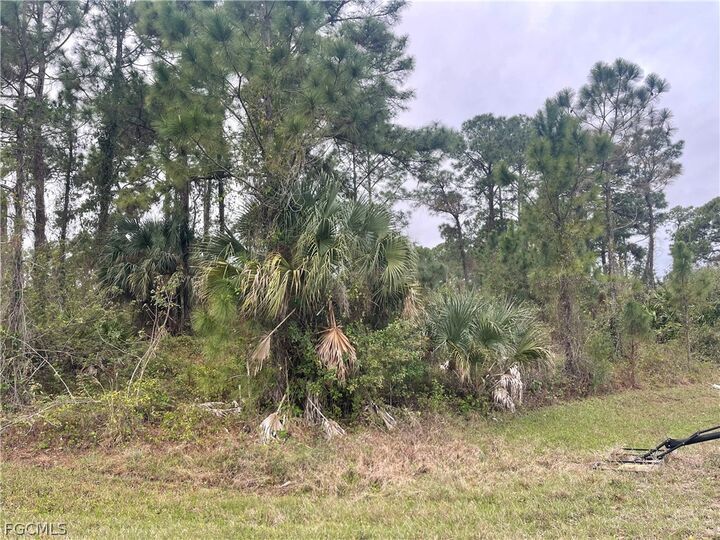 Property Photo:  8004 Royal Court  FL 33935 