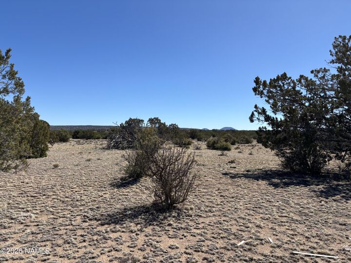 Property Photo:  3156 Jackrabbit - 14 Ac Road  AZ 86046 