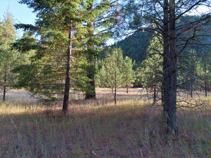 Property Photo:  111 Toroda Creek Rd  WA 99118 