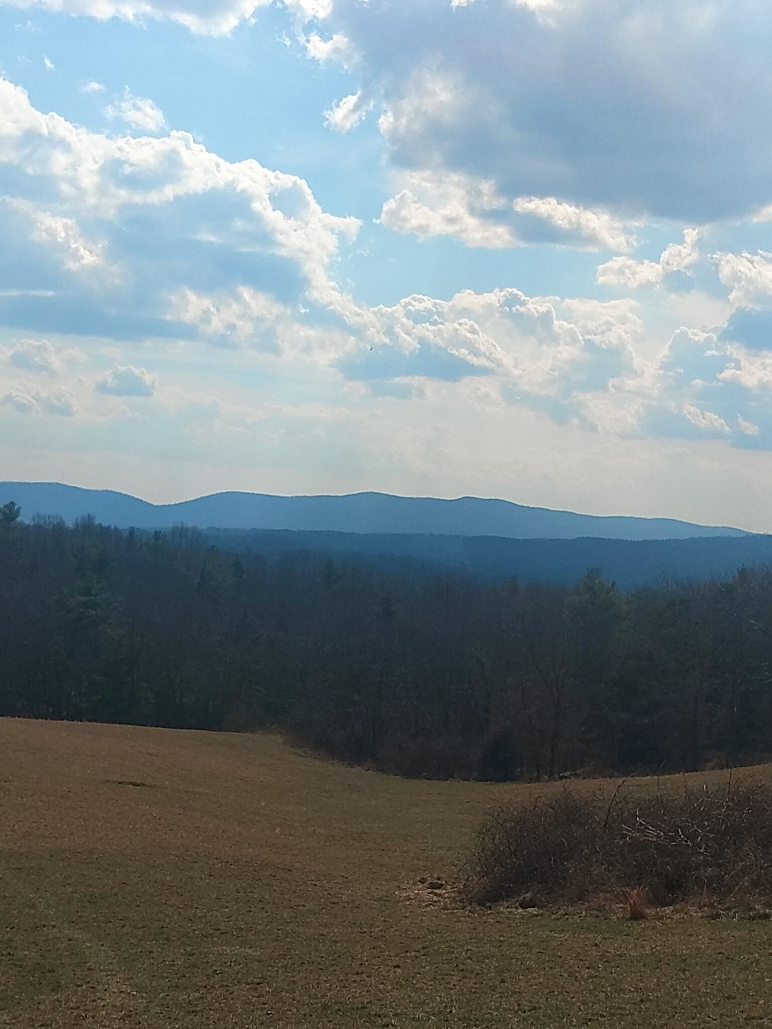 Property Photo:  Tbd Dobbins Hollow Road  VA 24149 