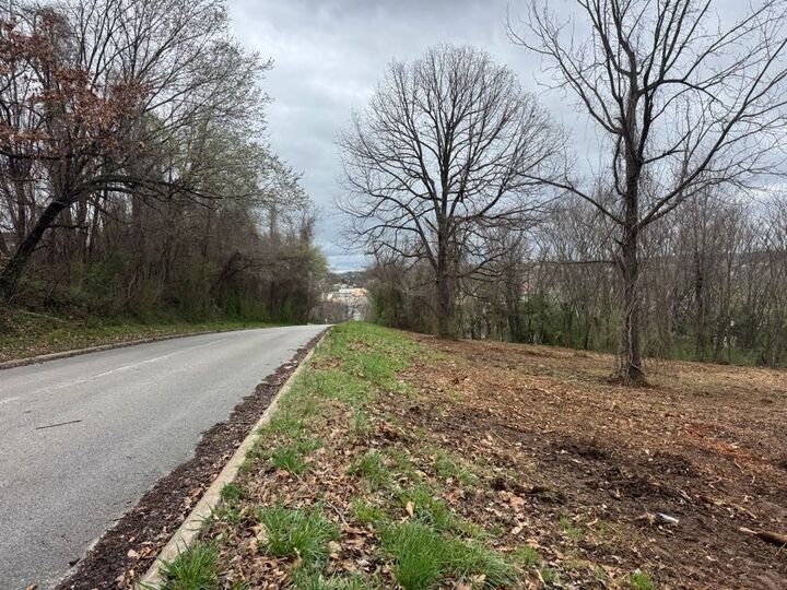 Property Photo:  Tdb McCoy Drive  AR 72601 