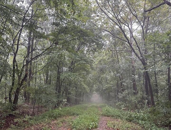 Property Photo:  Clover Lane  AR 72756 