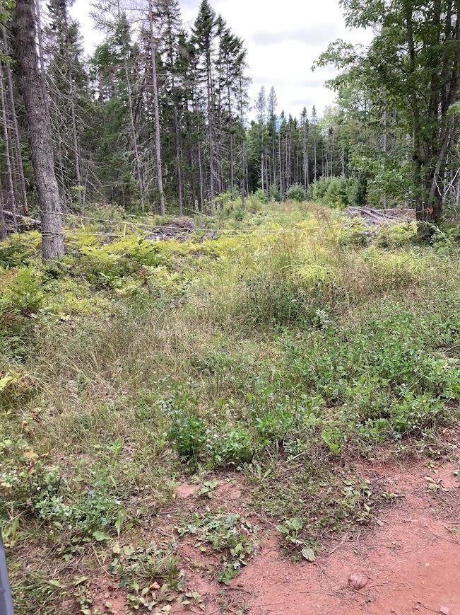 Property Photo: Farley Road Lot PE C0B 1E0