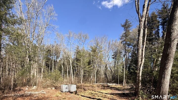 Property Photo:  111 Stillman Road  CT 06359 