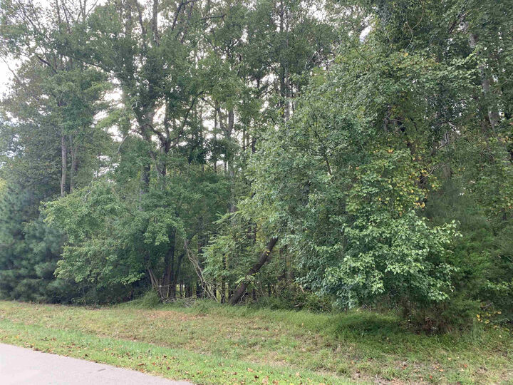 Property Photo: 4551 Ashley View Lane NC 27565