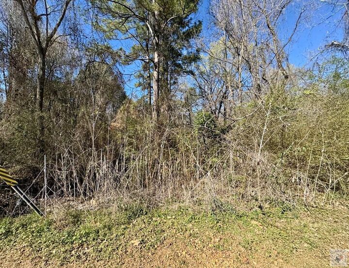 Property Photo:  506 Pecan  TX 75567 