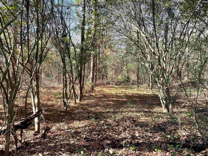 Property Photo:  0 Green Hills  SC 29054 