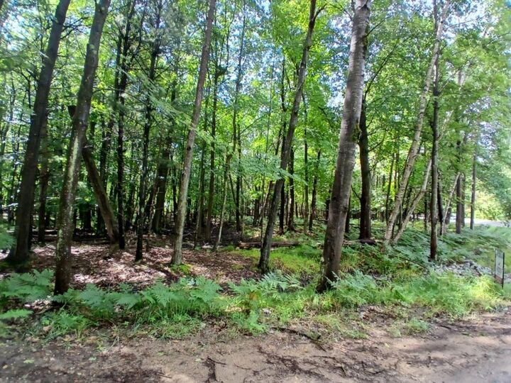 Property Photo:  Ridge Road  MI 49436 