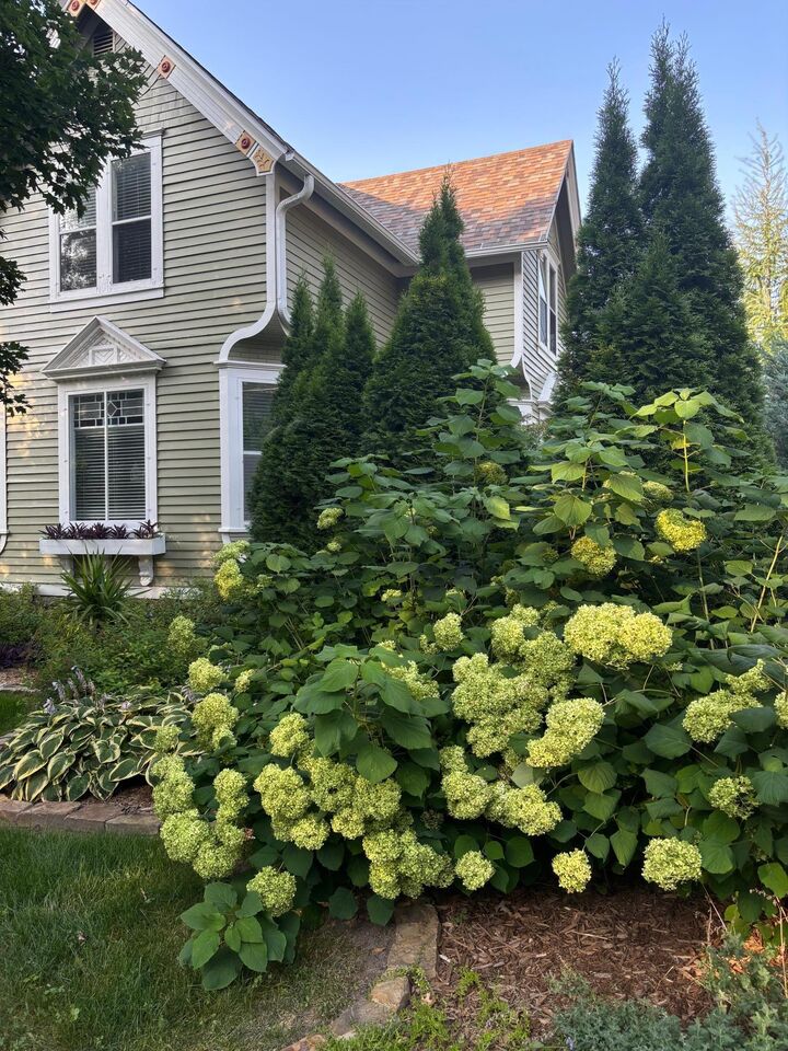 Property Photo:  831 Central Avenue  MN 55066 