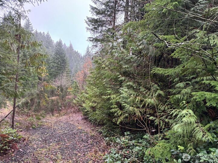 Property Photo: 999 N Lake Cushman Drive WA 98548