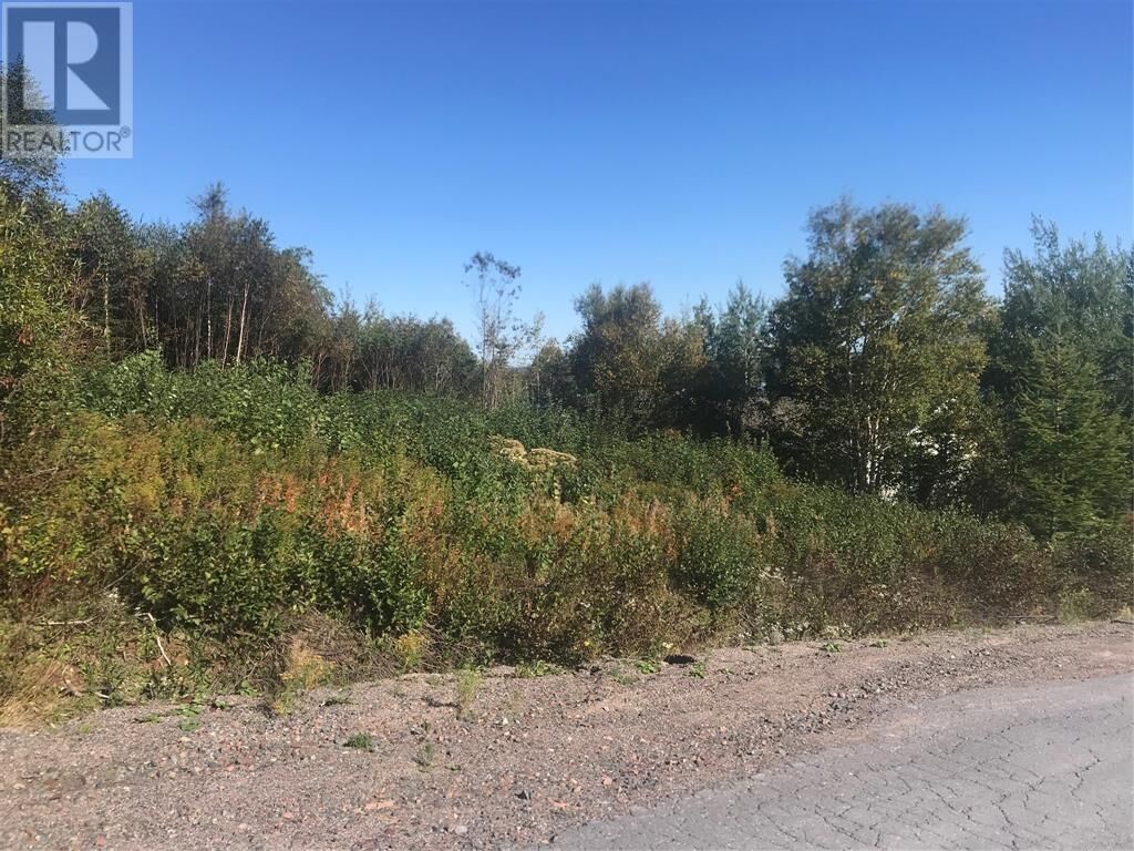 Property Photo:  12 Random View Road  NL A5A 0L3 