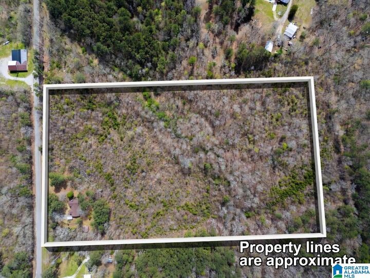 Property Photo:  1077 Old Anniston Gadsden Highway  AL 35905 