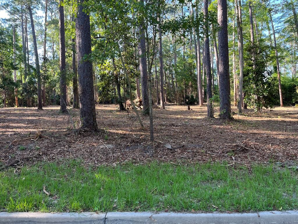 Property Photo:  00 10th Avenue N.w.  GA 39828 