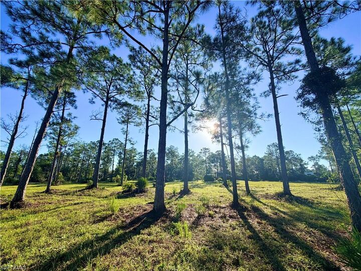 Property Photo:  21151 Hidden Woods Trl  FL 33928 