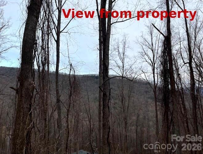 Property Photo:  65 Weeping Cherry Forest Road  NC 28730 