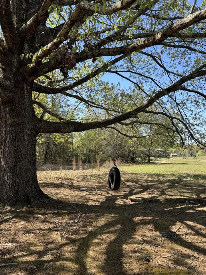 Property Photo:  1830 Goslin Pond Rd  SC 29148 