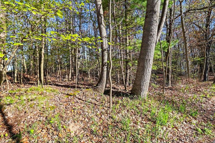 Property Photo:  Lot 11 Silver Ridge Road  MI 49436 