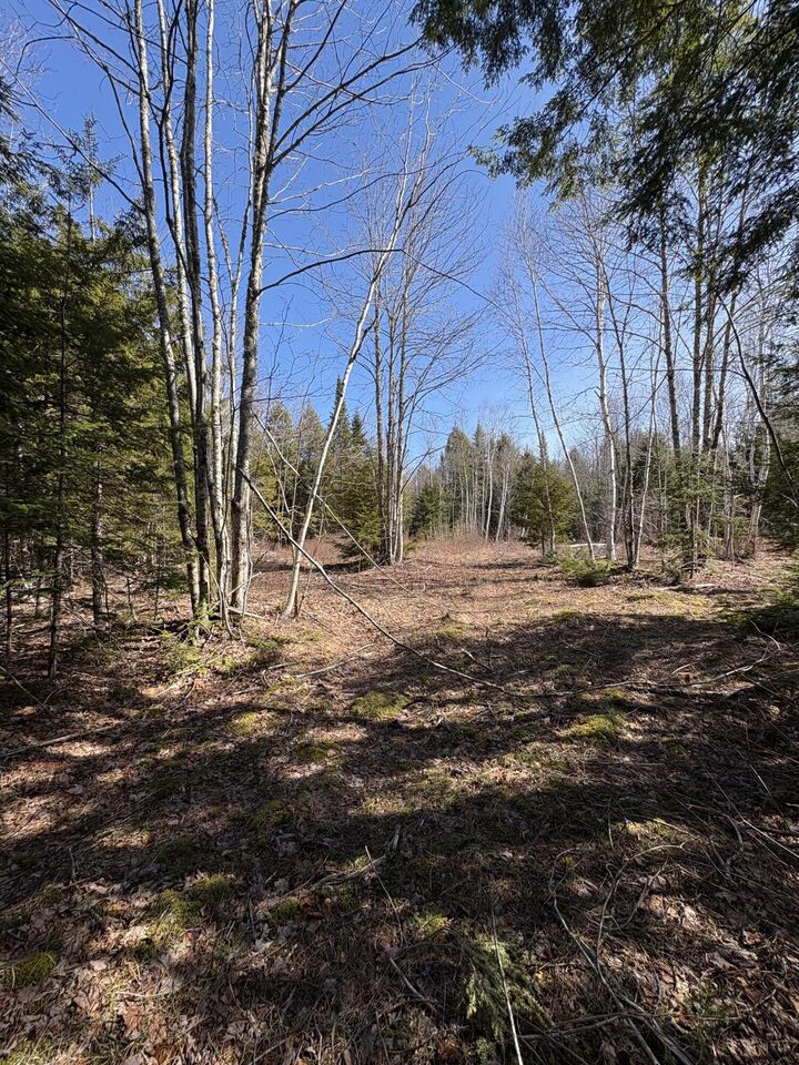 Property Photo: Lot 116 Bass Overlook ME 04605