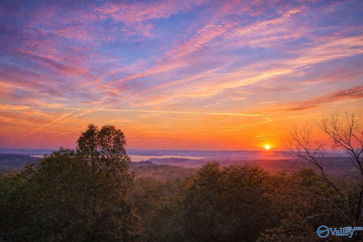 Property Photo:  835 Owens Switch Road  AL 35960 