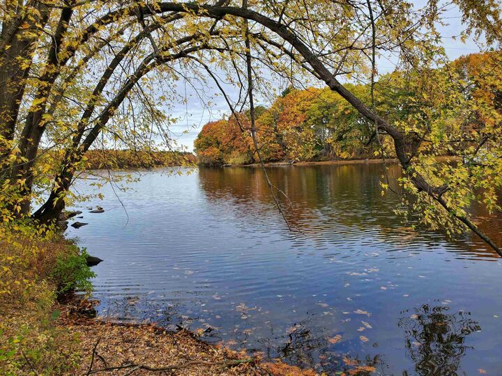 Property Photo: 16 Walden Pond Drive NH 03064