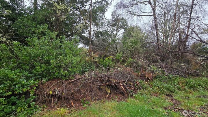 Property Photo:  248  Wishkah Street  WA 98569 