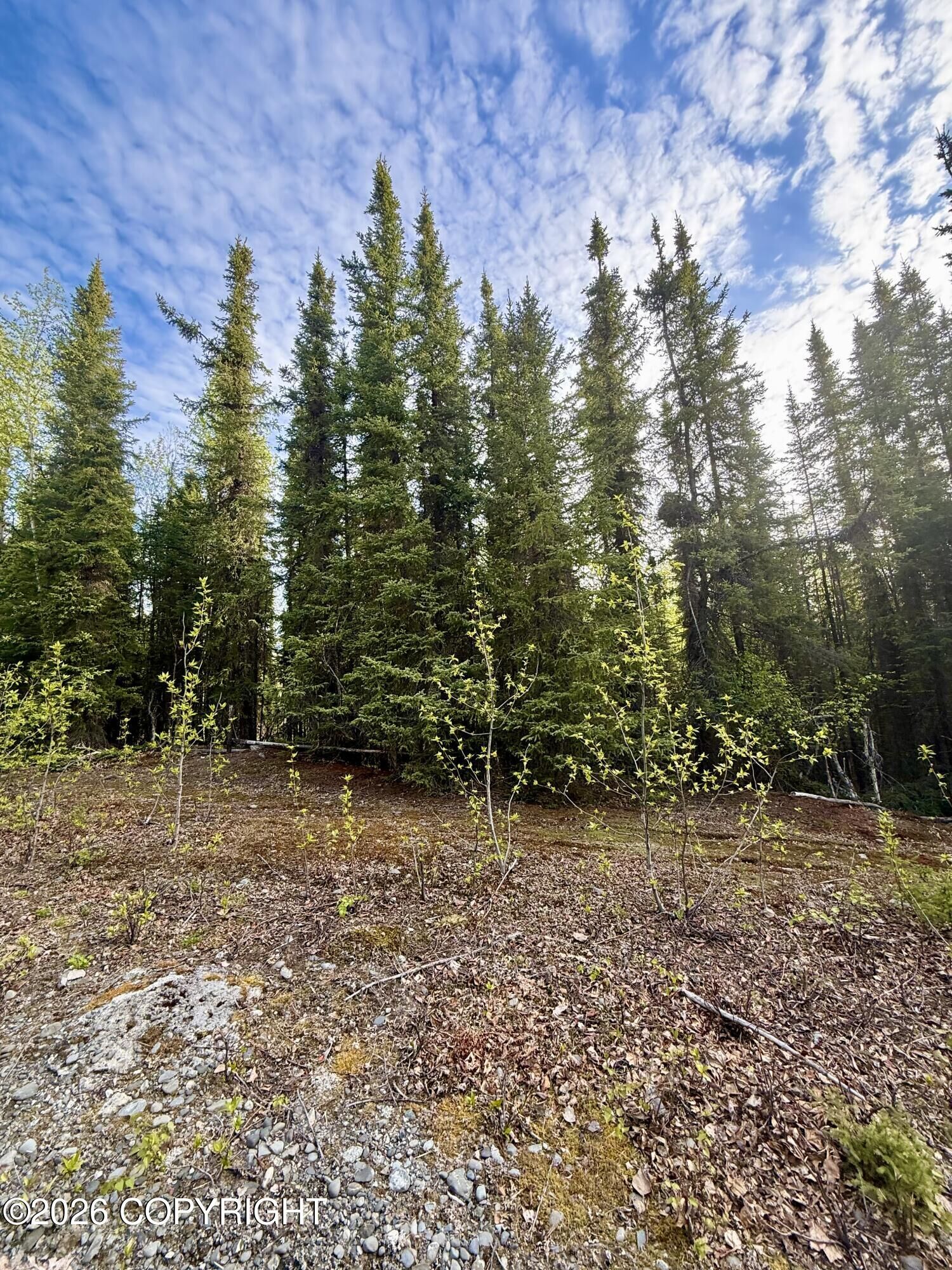 Property Photo:  32664 Strauss Court  AK 99669 
